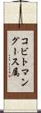 コビトマングース属 Scroll