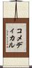 コ・メディカル Scroll