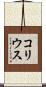 コリウス Scroll