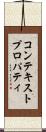 コンテキスト・プロパティ Scroll