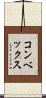 コンベックス Scroll