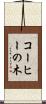 コーヒーの木 Scroll