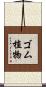 ゴム植物 Scroll