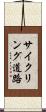 サイクリング道路 Scroll