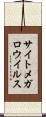 サイトメガロウイルス Scroll