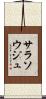 サラソウジュ Scroll