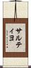 サルティヨ Scroll