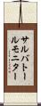 サルバトール・モニター Scroll