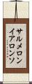 サルメロンイアロンソ Scroll