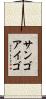 サンゴアイゴ Scroll