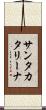 サンタ・カタリーナ Scroll