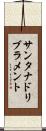 サンタナドリブラメント Scroll