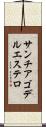 サンチアゴデルエステロ Scroll