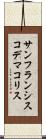 サンフランシスコデマコリス Scroll