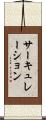 サーキュレーション Scroll