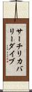 サーチ＆リカバリーダイブ Scroll