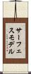 サーフェスモデル Scroll