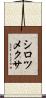 シロツメクサ Scroll