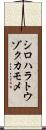 シロハラトウゾクカモメ Scroll