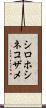 シロホシネコザメ Scroll