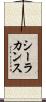 シーラカンス Scroll