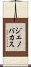Jenovacus Scroll
