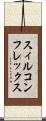 スィルコンフレックス Scroll