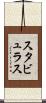 スタビュラス Scroll