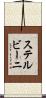 ステルビーニ Scroll