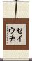 セイウチ Scroll