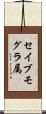 セイブモグラ属 Scroll