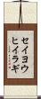 セイヨウヒイラギ Scroll