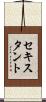 セキスタント Scroll