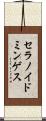 セラノイドミンゲス Scroll