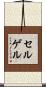 セルゲル Scroll