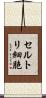 セルトリ細胞 Scroll