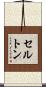 セルトン Scroll
