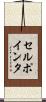 セル・ポインタ Scroll