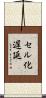 セル化遅延 Scroll