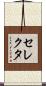 セレクタ Scroll