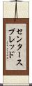 センター・スプレッド Scroll