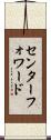 センターフォワード Scroll