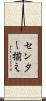 センター揃え Scroll