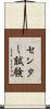センター試験 Scroll