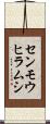 センモウヒラムシ Scroll