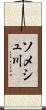 ソメシュ川 Scroll