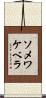 ソメワケベラ Scroll