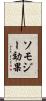 ソモジー効果 Scroll