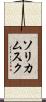 ソリカムスク Scroll