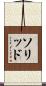 ソリッド Scroll